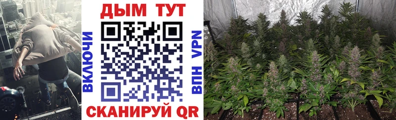 Купить наркотик аптеки Калачинск Гашиш