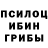 Галлюциногенные грибы Psilocybe Theo lol