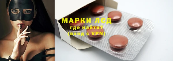 прущие грибы Гусь-Хрустальный