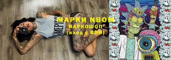 индика Алексин