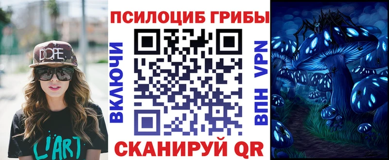 Псилоцибиновые грибы Psilocybe  даркнет сайт  Калачинск 